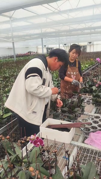 学生实训